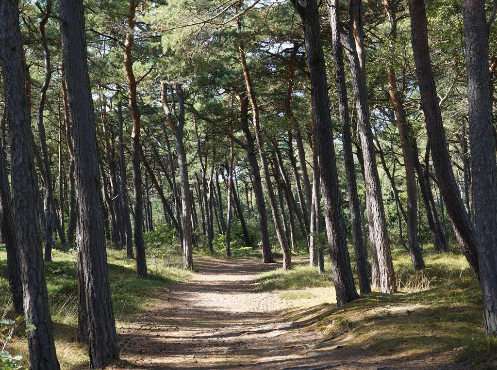 Anandaresort - Vegewakacje Władysławowo Eksteriør bilde